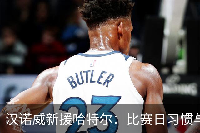 汉诺威新援哈特尔：比赛日习惯与家庭情感